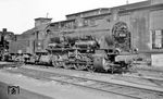 55 4230 vom Bw Frankfurt (M) 2 im Bw Frankfurt (M) 1. Die 1916 bei Borsig in Berlin gebaute Lok beschloss ihre aktive Dienstzeit zwei Jahre später beim Bw Dillenburg. (06.1964) <i>Foto: Reinhard Gumbert</i>