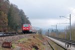 245 036 mit RE 3048 (Friedrichshafen Stadt - Basel Bad Bf) bei Waldshut. (20.02.2026) <i>Foto: Marvin Christ</i>