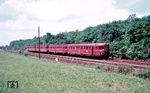 VT 33 224 (Bw Bielefeld) mit VT 45 502 und einem VS 145 als P 2665 (Bielefeld - Herford) bei Oelde. (05.1964) <i>Foto: Rolf Hahmann</i>