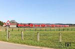 218 428 mit RE 4862 nach Hof zwischen Nabburg und Pfreimdt bei Haindorf. (06.04.2026) <i>Foto: Joachim Bügel</i>