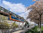 Zum 125-jährigen Jubiläum der Wuppertaler Schwebebahn (2026) ist ein Zug im Retro-Design (orange-blau) foliert worden. Der Triebwagen 1427 soll an die klassischen Farben der 1970er Jahre-Schwebebahngeneration (GTW72) erinnern. Die Bahn fährt im regulären Linienbetrieb und wird hier in Kürze die Station Döppersberg erreichen. (14.04.2026) <i>Foto: Wolfgang Bügel</i>