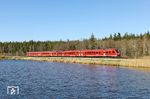 612 169 und 612 079 legen sich als RE 3473 (Nürnberg - Hof) bei Wiesau in die Kurve. (07.04.2026) <i>Foto: Joachim Bügel</i>