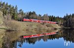 218 428 spiegelt sich mit RE 4859 nach München bei Oberteich. (08.04.2026) <i>Foto: Joachim Bügel</i>