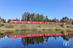 Auch die Regionalexpresszüge zwischen Hof und Nürnberg wurden in der Osterwoche 2026 umgeleitet. Dazu gehörten diese beiden 612, die als RE 3462 bei Oberteich auf dem Weg nach Nürnberg sind. (08.04.2026) <i>Foto: Joachim Bügel</i>
