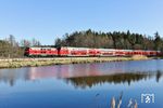 Abends ging es wieder zurück zu den Fischteichen bei Wiesau (Oberpf). Die Abkürzung über die A 93 führte dazu, dass (ungeplant) der RE 4860 mit 218 433, der zuvor in Luhe fotografiert wurde, hier nochmals vor die Linse lief. (08.04.2026) <i>Foto: Joachim Bügel</i>