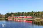 Am Thurnerweiher bei Wiesau (Oberpf) befördert 218 426 den RE 4867 nach München. (08.04.2026) <i>Foto: Joachim Bügel</i>