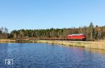Am späten Nachmittag gab sich 233 219 nochmals mit dem GAG 45390 (Trinec - Nürnberg Rbf) die Ehre an den Wiesauer Fischteichen. (08.04.2026) <i>Foto: Joachim Bügel</i>