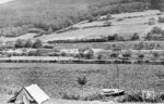 Die in den Archivaufzeichnungen von Carl Bellingrodt angegebene 75 226 war es wohl nicht, die mit P 2360 nach Heidelberg am Neckar bei Lindlach vorbeifährt, da sie bereits 1935 ausgemustert worden war. Anhand der anderen Aufnahmen an diesem Tag könnte es sich vielmehr um 75 228 vom Bw Neckarelz handeln. (26.07.1949) <i>Foto: Carl Bellingrodt</i>