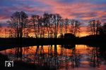 Bei mehr als 100.000 aufregenden Fotos auf der Bilderseite beginnen wir heute mit einem entspannten Sonnenaufgang an den Geisteichen bei Wiesau (Oberpf). (09.04.2026) <i>Foto: Joachim Bügel</i>