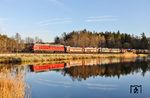Im letzten Licht erschien noch 233 219 mit GAG 46499 (Valenciennes - Most Nove Nadrazi) am Thurnerweiher bei Wiesau (Oberpf). (09.04.2026) <i>Foto: Joachim Bügel</i>