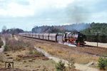 043 221 (44 1221) mit einem 2000 t Erzzug zwischen Lingen (Ems) und Hanekenfähr in typischer emsländischer Landschaft mit Kiefernwäldern und Hochmoorflächen. (18.04.1973) <i>Foto: Robin Fell</i>