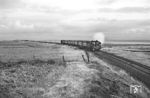 03 196 vom Bw Hamburg-Altona hat mit E 1771 aus Altona soeben den noch eingleisigen Hindenburgdamm hinter sich gelassen und "betritt" westlich von Morsum die Insel Sylt. (09.1966) <i>Foto: Jürgen Hagemann</i>