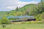 Zwischen Marsberg und Bredelar ist 01 1104 mit DRC 74201 unterwegs. Der Abschnitt von Warburg (Westf) bis Brilon Wald ist heute nur eingleisig. Es gibt Kreuzungsmöglichkeiten in Scherfede, Marsberg und Messinghausen. (16.05.2026) <i>Foto: Joachim Schmidt</i>
