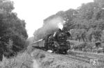 Mit dem P 3004 nach Halle (Saale) legte 41 1150 bei Großpürschütz wieder eine saubere Fahrt hin. (24.07.1983) <i>Foto: Thomas Fischer</i>