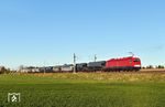 Die Baureihe 252 war die letzte Neuentwicklung einer Elektrolokomotive der Deutschen Reichsbahn. Nach einer Hauptuntersuchung ist 252 004 des Fahrzeugwerks Karsdorf mit dem beladenen Staubgutwagenzug von Spreewitz nach Naumburg bei Doberschütz unterwegs. (09.04.2026) <i>Foto: Ralf Opalka</i>