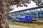 Totgesagte leben länger. Dies gilt augenscheinlich auch für die Baureihe 151. Nachdem sie bei der DB entbehrlich wurde, genießen einige Maschinen ihr 'zweites Leben' bei privaten Eisenbahnverkehrsunternehmen. Dazu gehört auch 151 029 (Krauss-Maffei, Baujahr 1973), die 2022 eine neue Heimat bei SRI Rail Invest Gundremmingen fand und hier im Bahnhof Bad Oldesloe pausiert. (12.05.2026) <i>Foto: Thorsten Eichhorn</i>
