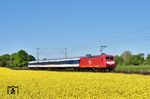 TRI 145 097 mit dem Taktverdichtungszug RB 89418 (Neuss - Krefeld) in blühenden Landschaften bei Krefeld-Oppum. (29.04.2026) <i>Foto: Zeno Pillmann</i>