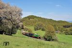 Pz 3 mit Lok D 4 kurz vor dem Ziel seiner Reise bei Engeln. (26.04.2026) <i>Foto: Zeno Pillmann</i>