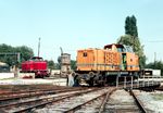 Leihlok 123 der Teutoburger-Wald Eisenbahn (TWE) im WLE-Bw Lippstadt. Links steht eine weitere Leihlok, die D 4 der Bentheimer Eisenbahn (BE). (06.1973) <i>Foto: Ulrich Hesse</i>