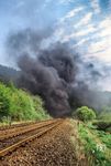 Nach der Durchfahrt der 41 360 brannte nicht der Wald, aber unverbrannter Ölqualm strömte aus dem Glösinger Tunnel bei Freienohl. Für das Lokpersonal war es ein Spaß, im Tunnel die Fahrgäste am offenen Fenster gehörig einzuräuchern, denn die wollten ja unbedingt viel Rauch und Ruß. (27.04.2000) <i>Foto: Joachim Schmidt</i>