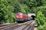 218 363 und 218 292 befördern den IC 2068 (Dresden - Chemnitz - Hof - Nürnberg - Stuttgart - Karlsruhe) am Vogelherd-Tunnel bei Enzendorf im Pegnitztal. (09.06.2006) <i>Foto: Stefan von Lossow</i>