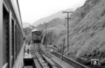 Im Betriebsbahnhof Raiz da Serra begegnen einander zwei Züge auf der Serra Nova Incline der Schienenseilbahn Paranapiacaba. Die Strecke war zweigleisig und entstand 1895–1901 parallel zur alten Trasse in derselben Technik wie eine Standseilbahn. Sie besaß eine Länge von 11 km und fünf Seilabschnitte, die jeweils durch eine Dampfmaschine von 300 PS angetrieben wurden. So konnte die maximale Steigung auf 8 Prozent reduziert, das Fördergewicht auf 155 Tonnen und die Differenz zwischen bergwärts- und talwärts fahrendem Zug von 36 auf 60 Tonnen erhöht werden. Der Betrieb erfolgte mit Bremslokomotiven (Locobreques), die am talseitigen Ende der Züge eingestellt wurden. Die Fahrt über die Rampen erfolgte am Zugseil, auf den horizontalen Abschnitten bewegte sich der Zug aus eigener Kraft zum nächsten Seil. Die Serra Nova Incline war bis 1982 in Betrieb. (26.02.1972) <i>Foto: Jörg Schulze</i>