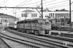 3207 und 3211 der RFFSA in Rio de Janeiro. Es handelt es sich um dieselelektrische Lokomotiven des Modells ALCO FA-1, ausgestattet mit einem 12-Zylinder-Diesel-Motor (ALCO 244) und einer Leistung von 1.500 PS. Ursprünglich 1948 von der American Locomotive Company (ALCO) für die 'Estrada de Ferro Central do Brasil' (EFCB) gebaut, gingen sie später in den Bestand der staatlichen 'Rede Ferroviária Federal S.A.' (RFFSA) über. Die Central do Brasil importierte 1948 zwölf dieser Loks, die die Betriebsnummern 3201 bis 3212 trugen. Lok 3207 gehörte zur Erstserie dieser markanten amerikanischen Loks in Brasilien. Ihr Einsatzgebiet war vor allem der Personenverkehr mit bekannten Zügen wie dem "Santa Cruz" zwischen Rio de Janeiro und Sao Paulo. (27.02.1972) <i>Foto: Jörg Schulze</i>