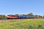 155 219 der Maik Ampft Eisenbahndienstleistungen Limbach-Oberfrohna mit einem grafftifreien (!) Getreide-Ganzzug von Bad Schandau nach Leipzig-Plagwitz zwischen Wurzen und Machern bei Altenbach. (25.04.2026) <i>Foto: Ralf Opalka</i>
