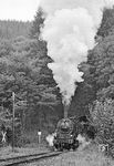 Das Wetter wurde immer suboptimaler. Dennoch fanden einige Fotohalte und Scheinanfahrten statt, die erste am Scheuerfelder Tunnel. (12.09.1971) <i>Foto: Wolfgang Bügel</i>