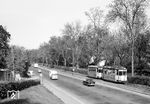 Tw 105 mit Bw 179 auf der Linie 3 nach Heidingsfeld auf dem damals noch eingleisigen Abschnitt in der Mergentheimer Straße in Höhe Judenbühlweg. (10.1961) <i>Foto: Reinhard Todt</i>