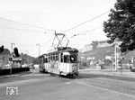 Tw 107 (Gotha, Baujahr 1926, ex Straßenbahn Münster) an der Ludwigsbrücke, im Volksmund wegen der vier Löwenstatuen an den beiden Auffahrten auch Löwenbrücke genannt. Sie ist eine von sieben Brücken über den Main in Würzburg und wurde 1895 eingeweiht. (10.1961) <i>Foto: Reinhard Todt</i>