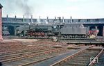 Bevor die Wittenberger 01.5 die Bespannung der Transitzüge zwischen Hamburg und Berlin übernahmen, war dies eine Aufgabe der Ostbahnhofer 01. Im Herbst 1962 war 01 036 vom Bw Berlin Ostbf im Bw Hamburg-Altona zu Gast. (10.1962) <i>Foto: Rolf Hahmann</i>