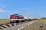 232 673 mit dem leeren Dolomitzug nach Wünschendorf zwischen Dessau und Halle (Saale) bei Marke. (15.04.2026) <i>Foto: Ralf Opalka</i>