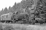 Beim Fotohalt bei Simmerath zeigte sich 94 1561 (094 561-8 vom Bw Köln-Eifeltor) in voller Schönheit. Es war die letzte Gelegenheit für den Einsatz einer preußischen T 16¹ im Hohen Venn. 3 Wochen später wurde die Lok nach Emden umstationiert. (03.10.1971) <i>Foto: Wolfgang Bügel</i>