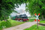 99 4802 mit 99 4801 vor dem P 108 (Göhren - Lauterbach Mole) bei Beuchow. (31.05.2026) <i>Foto: Joachim Schmidt</i>