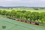 Der RüBB-Traditionszug mit der 101 Jahre alten Lok 53 Mh und den Traditionswagen 28, 33, 34, 37 und 53, sowie drei weiteren historischen Wagen, zwischen Posewald und Beuchow. (31.05.2026) <i>Foto: Joachim Schmidt</i>