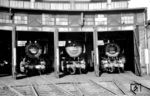 Beim samstäglichen Besuch im Bw Frankfurt/M-2 pausierten 50 002, 50 2194 und 50 1727 im heimischen Lokschuppen. (30.04.1966) <i>Foto: Reinhard Gumbert</i>