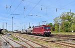 Im Bahnhof Leipzig-Wiederitzsch steht noch die Gleisfeldbeleuchtung aus der Reichsbahnzeit. Auch die Bahnsteige einschließlich Beleuchtung sind noch vorhanden, obwohl hier schon seit vielen Jahren keine Züge mehr halten. Spätestens 2028 wird dies alles Geschichte sein, wenn der Umbau des Bahnhofs abgeschlossen ist. Mit der passenden Lok 250 195 des Fahrzeugwerks Karsdorf vor dem "Spreewitzer", den sie in Naumburg übernommen hatte, konnte nochmals das alte Reichsbahn-Flair eingefangen werden. (28.04.2026) <i>Foto: Ralf Opalka</i>