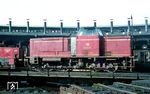 Mit der Umsetzung der Baureihe V 65 von Marburg (Lahn) zur BD Hamburg gelangten zehn Maschinen zum Bw Hamburg-Altona. Diese lösten maßgeblich die alten preußischen Dampfloklokomotiven ab, die den Rangierdienst im Bahnhof Altona bzw. die Leerfahrten zum Abstellbahnhof von und nach Langenfelde erledigten. Auf die Doppeldrehscheibe im Bw Hamburg-Altona wird V 65 011 von einer Köf geschoben. (05.1967) <i>Foto: Rolf Hahmann</i>