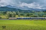 Ab Zugschluss des DRC 13400 von Freilassing nach Wiesbaden lief die zum Unternehmen „Smart Rail“ gehörende "Pünktchenlok" 111 226 mit, aufgenommen bei Teisendorf. (11.06.2026) <i>Foto: Atijana Schmidt</i>