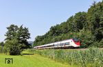501 017 der SBB als ECE 8 (Basel SBB - Hamburg-Altona) bei Wächtersbach. Die RABe 501 wurden von Stadler Rail gebaut und können mit bis zu 250 km/h verkehren. Die SBB bezeichnen die Züge als Giruno (abgeleitet aus rätoromanisch girùn für „Bussard“). Beim Hersteller heisst der Zug Stadler SMILE (für „Schneller Mehrsystemfähiger Innovativer Leichter Expresszug“, bis 2017 Stadler EC250). (20.06.2026) <i>Foto: Joachim Bügel</i>