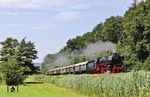 Anlässlich des 64. Hessentags verkehrte 01 1104 mit einem Sonderzug von Hanau nach Fulda, der bei Wächtersbach abgepasst wurde. (21.06.2026) <i>Foto: Joachim Bügel</i>
