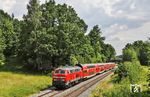 Die bekannte Fotostelle nahe Reuth (b Erbendorf) wächst auch langsam zu. 218 423 befindet sich mit RE 4861 auf der Fahrt nach München. (22.06.2026) <i>Foto: Joachim Bügel</i>