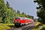 Wo viel Licht ist, ist auch viel Schatten (oder umgekehrt). Der nach Hof fahrende RE 4860 mit 218 421 animierte zu einer Stelle bei Wiesau (Oberpf), die nach dem abziehenden Gewitter wieder in der Sonne lag. Die bekannte Nachmittagsfotostelle am Thurnerteich war jedoch nicht zu erreichen, weil der Förster strategisch günstig einen dicken Baumstamm über den Waldweg gelegt hatte. Da waren ihm wohl zu viele Leute unterwegs, obwohl diese wenig mit Angeln zu tun hatten. (22.06.2026) <i>Foto: Joachim Bügel</i>
