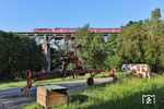 218 433 vor RE 4862 nach Hof auf dem Thölauer Viadukt und eine Plastikkuh. (22.06.2026) <i>Foto: Joachim Bügel</i>