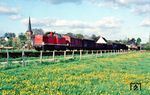 Auf der Fahrt nach Schwerte (Ruhr) befindet sich 290 081 (Bw Hagen-Eckesey) mit einem Nahgüterzug bei Fröndenberg-Dellwig. (07.05.1984) <i>Foto: Rolf Hahmann</i>
