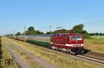 Die frisch in bordeauxrot lackierte 243 201 mit einem Tagesausflugszug von Leipzig an die Ostsee nach Warnemünde zwischen Braschwitz und Niemberg. (06.06.2026) <i>Foto: Ralf Opalka</i>