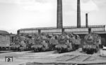 Auch für die zahlreichen preußischen T 16¹ (94 1152, 94 1668, 94 1150 und 94 955) gab es am Pfingstsonntag 1966 in Hamm (Westf) nichts zu tun. (29.05.1966) <i>Foto: Reinhard Gumbert</i>