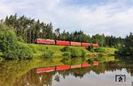 Der Güterzugverkehr in der Oberpfalz war Mitte Juni 2026 fototechnisch eher enttäuschend, da die Umleiterzüge überwiegend nicht mehr mit der Baureihe 232 bespannt waren. Tauchte doch einmal eine solche auf, wie hier 232 209 vor GAG 48952 (Enns - Nürnberg Rbf) bei Oberteich, waren die angehängten Lasten sehr überschaubar. (23.06.2026) <i>Foto: Joachim Bügel</i>