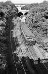 Ein ET 165 der Zuggruppe H nach Staaken am S-Bahnhof Pichelsberg im Berliner Ortsteil Westend. Er befindet sich zwischen den Bahnhöfen Olympiastadion und Stresow. (08.1966) <i>Foto: Jürgen Hagemann</i>